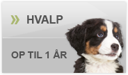 foder til hundehvalpe