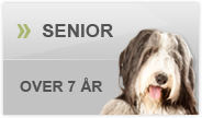 foder til ældre hunde