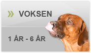 foder til voksne hunde