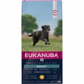 Eukanuba Active Adult Large Breed, 12 kg